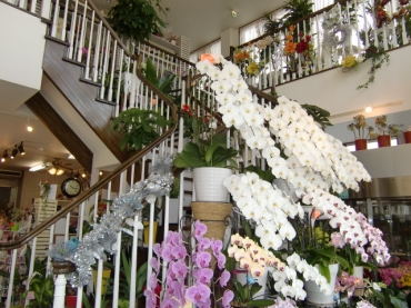 「フラワーショップ　マルイ」　（宮崎県小林市）の花屋店舗写真1